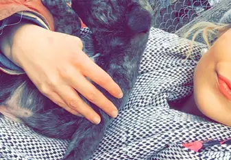 Some of the many beautiful dogs I got to work with