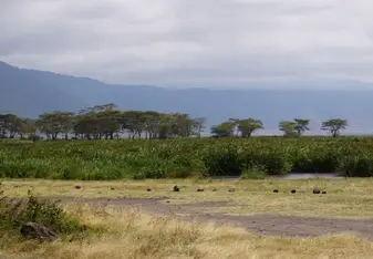 Ngorongoro Crater