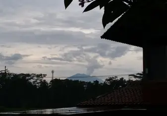 view from window