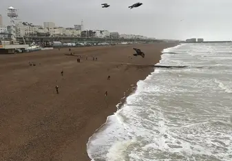 Brighton