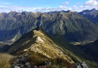 Kepler Track