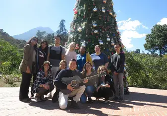 Christmas tree group