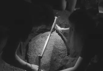 🐢 measuring/tagging