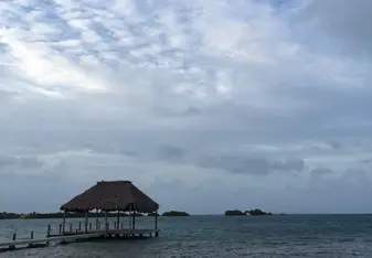 Caye Life