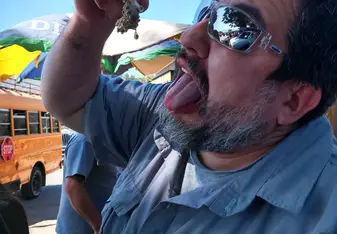 This is JP showing us one way to eat the fruit