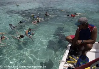 Snorkelling in Caye Caulker