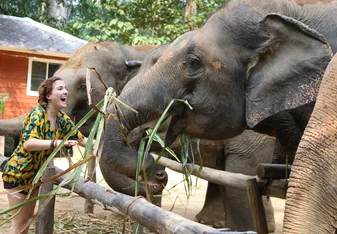girl with elephants