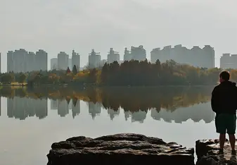 trees reflecting on lake