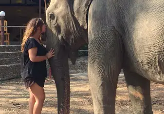 Nam Fon - The elephant I helped Rescue
