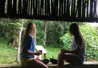 Waking up In the Rainforest with Dominican Coffee