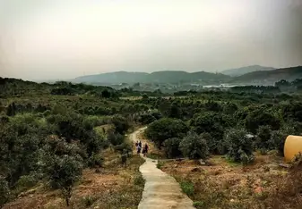 Peizheng