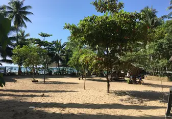 Green Lion - Camp