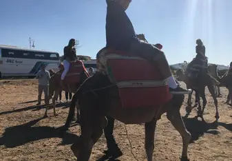 Camal Riding