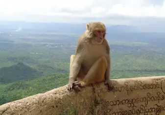 photo from Myanmar