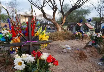 Todos Santos Cemetery