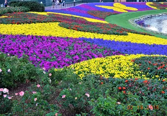 Flower Festival