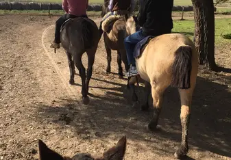 Riding horses at the quinta