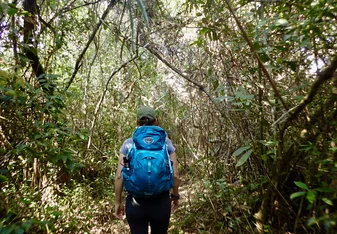 Exploring La Amazonia