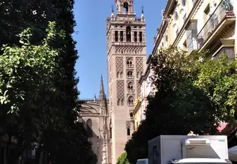 The Cathedral 