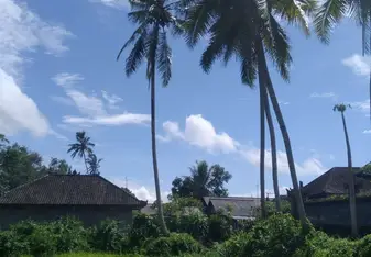 Bali-scenery