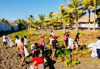 Beach cleanup