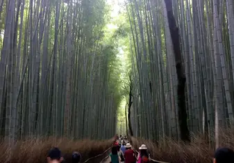 Arashiyama