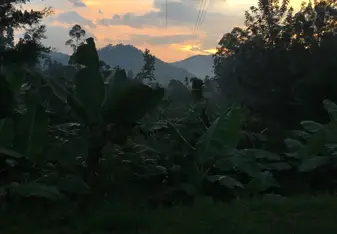 Sunset view from the red brick house