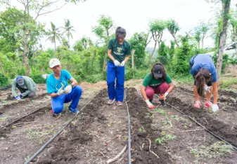 Sustainable farming