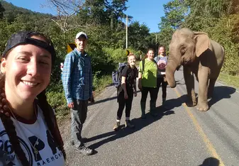 gvi chiang mai