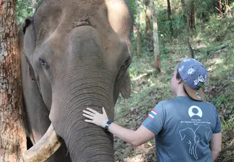 GVI Chiang Mai
