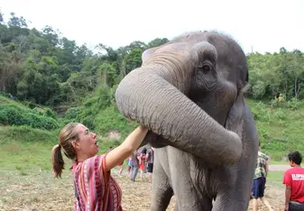 woman, elephant 