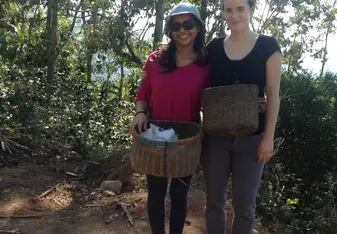 Harvesting coffee with a friend and parent of the school