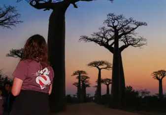 Mighty Baobab