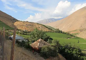 Pisco Elqui