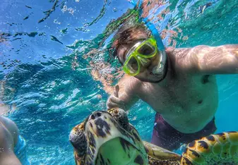 Guy swimming with sea turtle