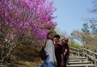 Arashiyama field trip