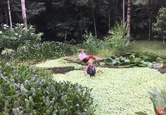 pond monitoring 