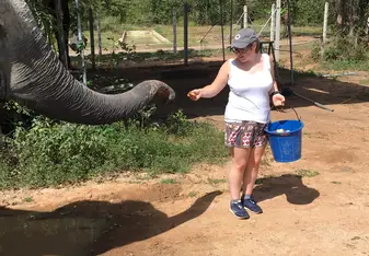 Feeding the elephants