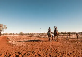 Camel riding at sunset