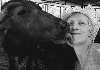 Animal Aid 