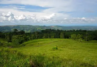 View from a bus ride
