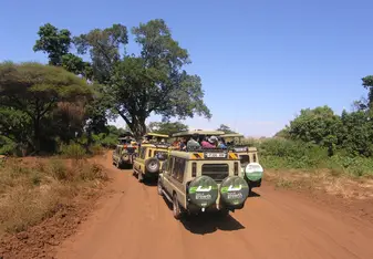 Safari 
