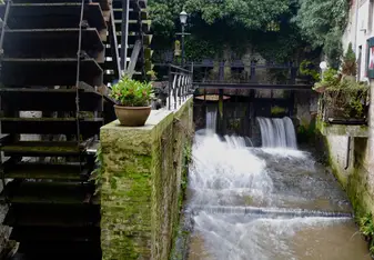 An afternoon city tour leading to beautiful sites. 