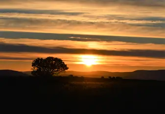 sunset