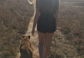 Lion walk