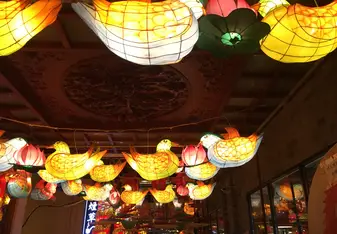 Duck lanterns