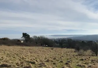 Swansea Pic