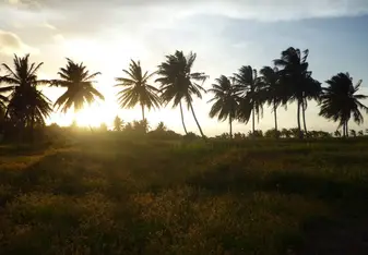 Sunrise on Shell Beach