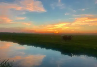 Sunset
