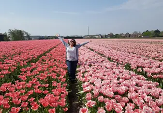 Holland!